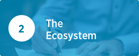 The Ecosystem
